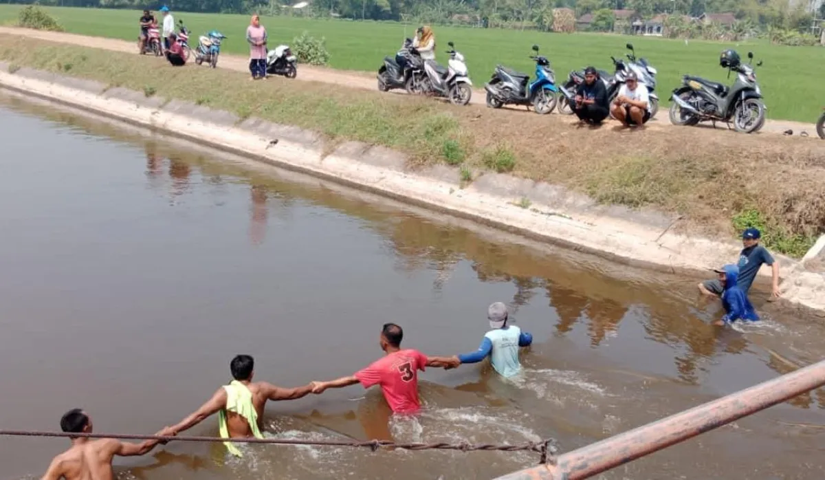 Selamatkan Seekor Kambing Seorang Kakek di Perak Jombang MD Terseret Arus Dam Sky