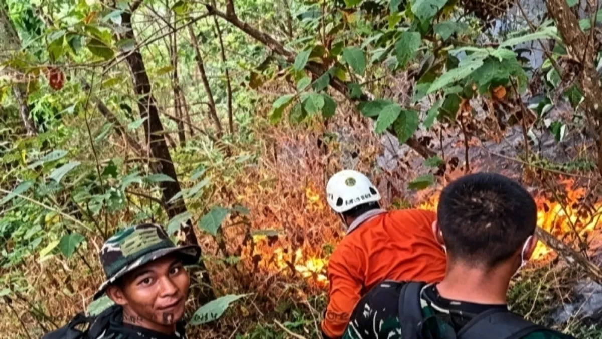 Padamkan Api di Lereng Gunung Wilis, BPBD Nganjuk Alihkan Fokus ke Pemantauan Ketat