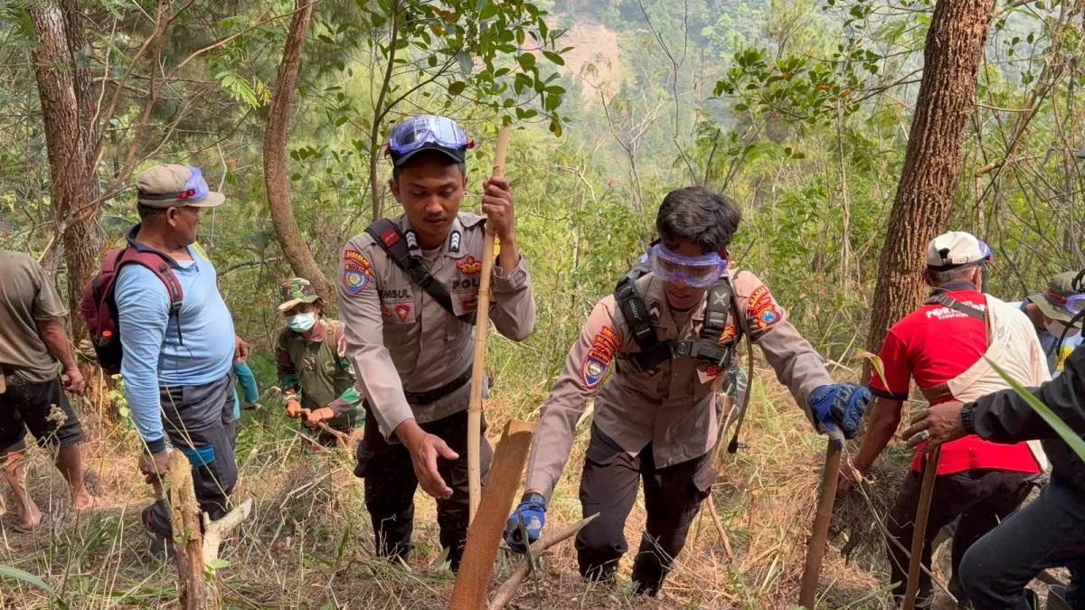 Lawan Api di Puncak Wilis, Tim Gabungan Nganjuk Diterjunkan Bikin Penyekatan Karhutla