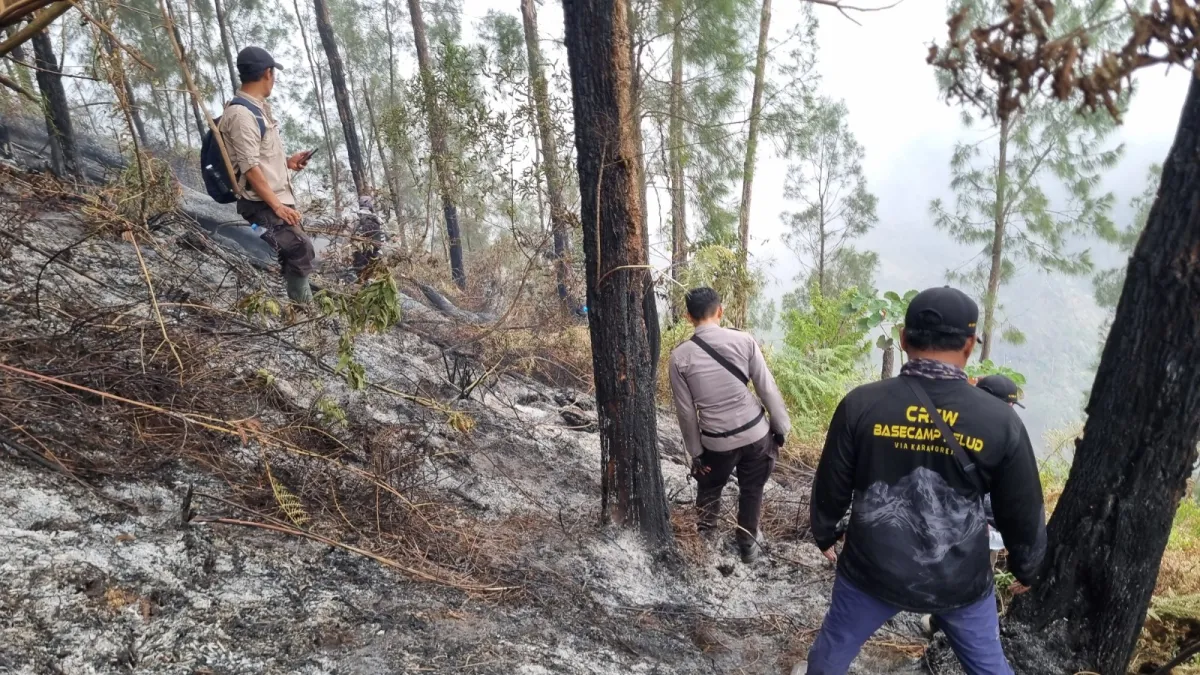 Ratusan Personel Gabungan Nekat Tembus Puncak Gunung Buthak Demi Padamkan Karhutla