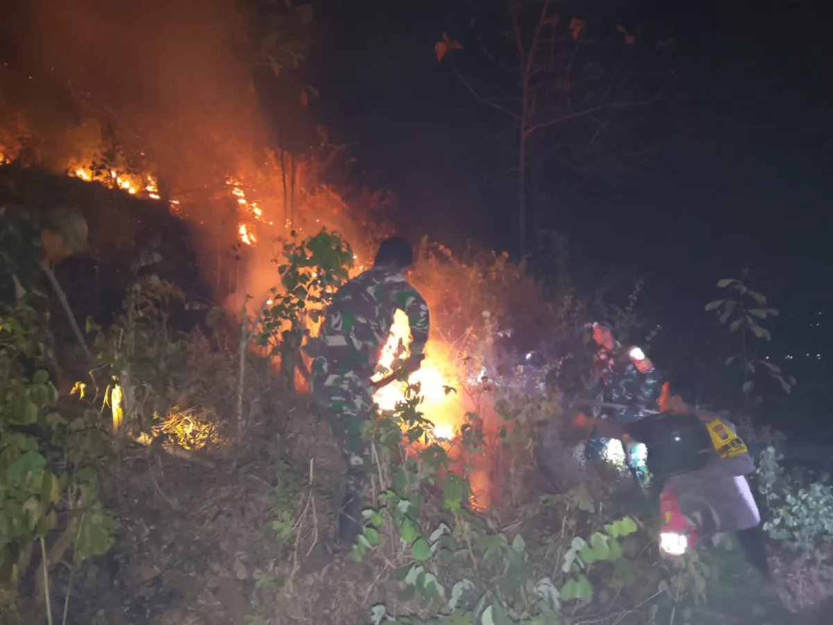 Lahan Alpukat dan Jati 4 Hektare di Kesamben Blitar Terbakar, Petugas Gabungan Berjibaku Padamkan Api