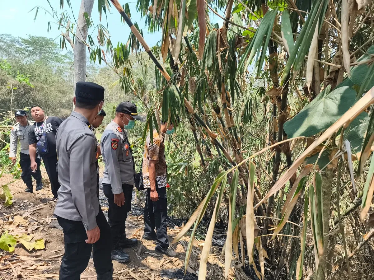 Niat Bersihkan Lahan, Lansia di Blitar Tewas Terjebak Kobaran Api Kebun Bambu