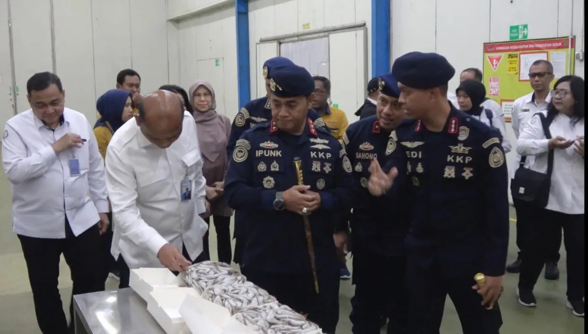 Sapu Bersih Impor Ilegal, KKP Segel Gudang PT BMI Lamongan Berisi 144 Ton Udang Vannamei