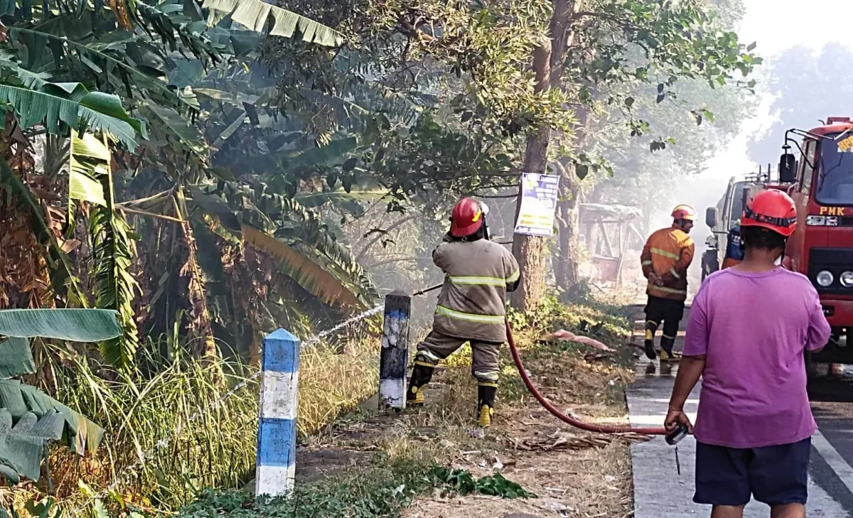 Kobaran Api Amuk 30 Hektare Tebu di Jombang, 5 Jam Petugas & Warga Berjibaku Padamkan Si Jago Merah 