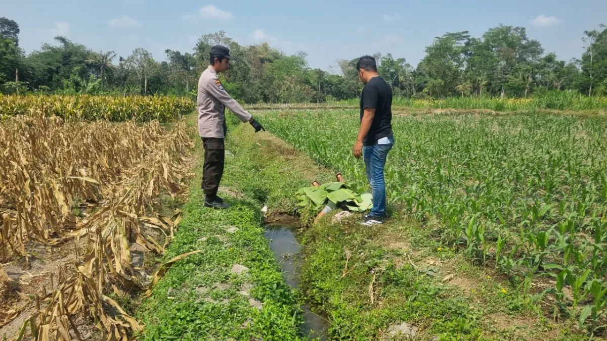 Warga Nglegok Gempar, Seorang PNS Ditemukan Meninggal Dunia di Saluran Irigasi Sawah
