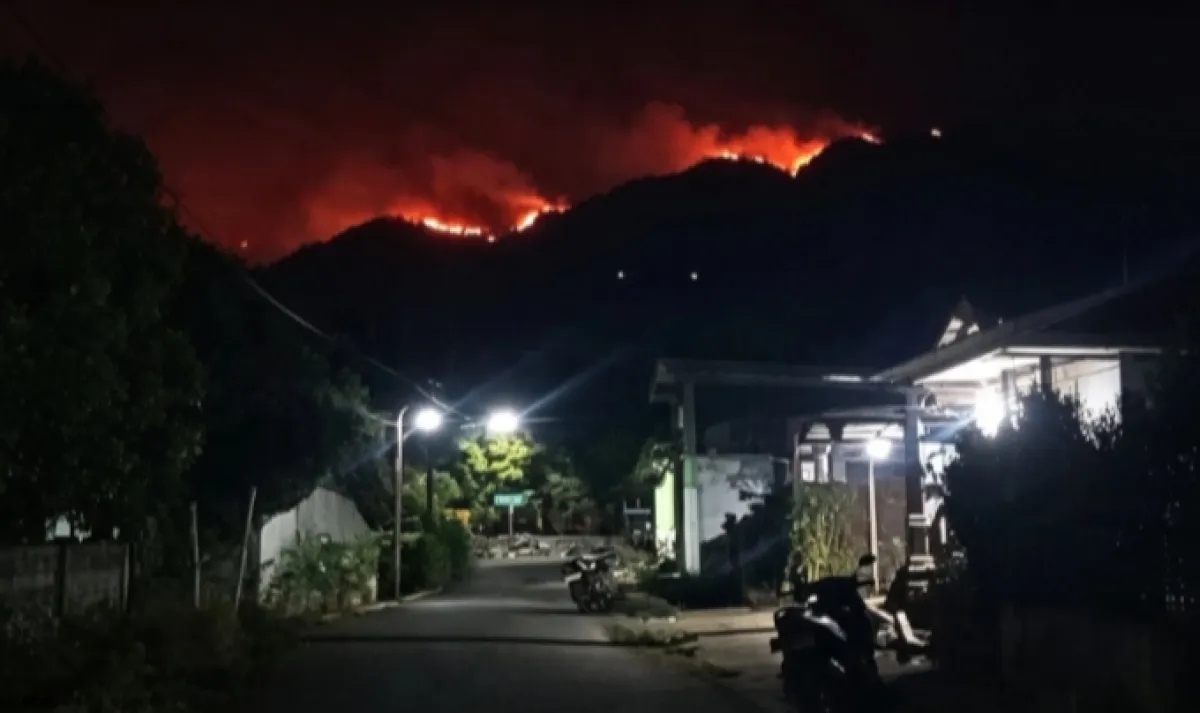 Karhutla Puncak Wilis Malam ini Membara, BPBD Nganjuk Siaga Satu Halau Api ke Pemukiman