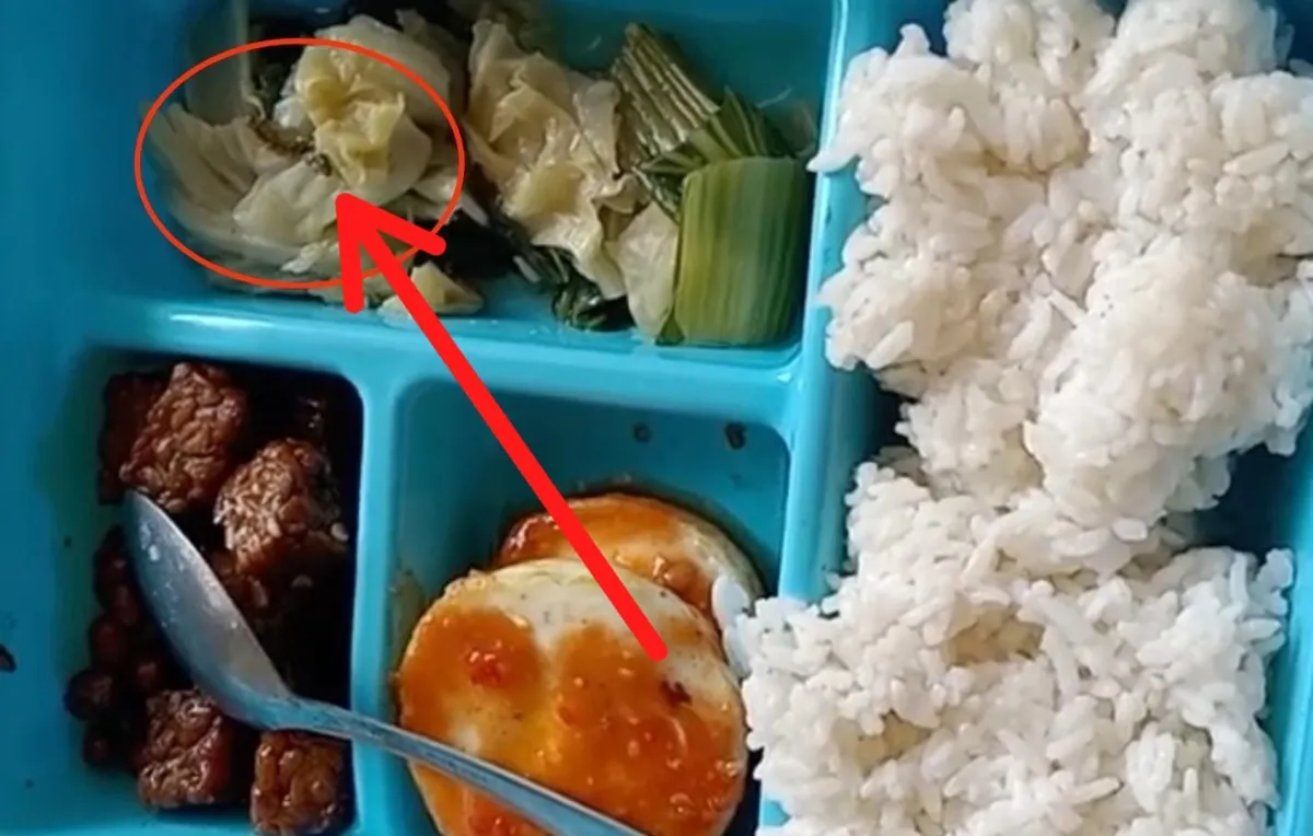 Ada Ulat Tersembunyi di Menu MBG Jombang, Warga Ngaku Tiga Kali Terima Menu Bermasalah