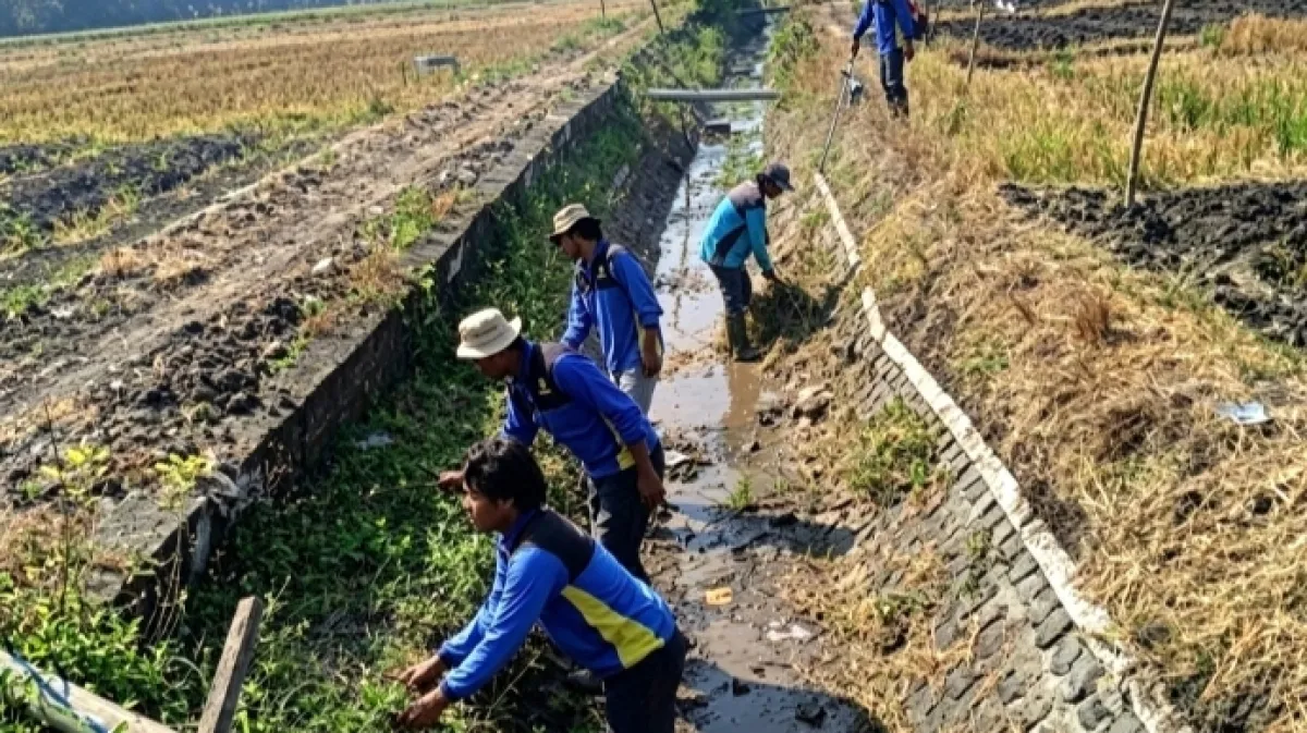 Dukung Ketahanan Pangan, Dinas PUPR Nganjuk Bergerak Cepat Rawat Jaringan Irigasi Rejoso dan Gondang