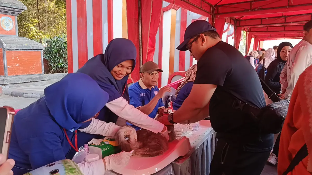 Gandeng Berbagai Pihak, Dispertan Nganjuk Gelar Layanan Kesehatan Hewan Gratis dan Baksos Warnai Peringatan Hari Santri