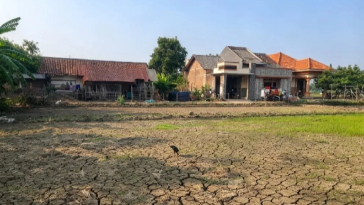 Lolos Verifikasi Tapi Dianulir, Pengalihan Bantuan Budi Daya Ikan KKP di Jombang Menuai Gejolak