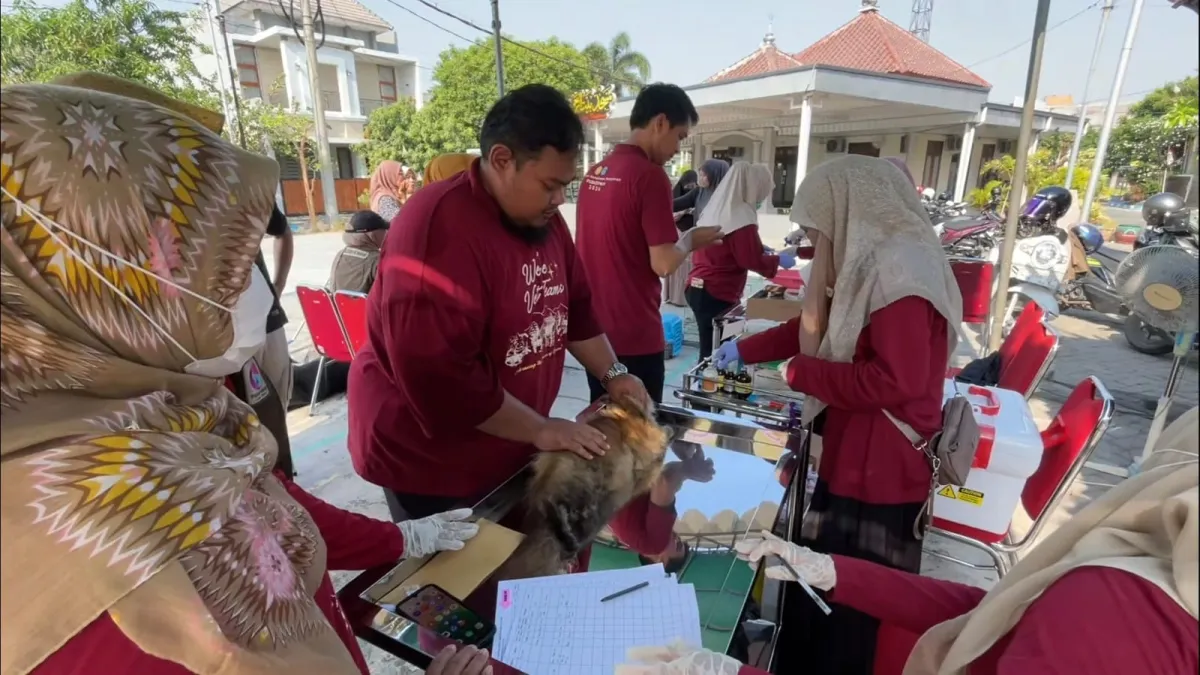Jemput Bola ke Rumah Warga, Disnakeswan Lamongan Suntikkan Vaksin Rabies Gratis untuk Puluhan Hewan Peliharaan