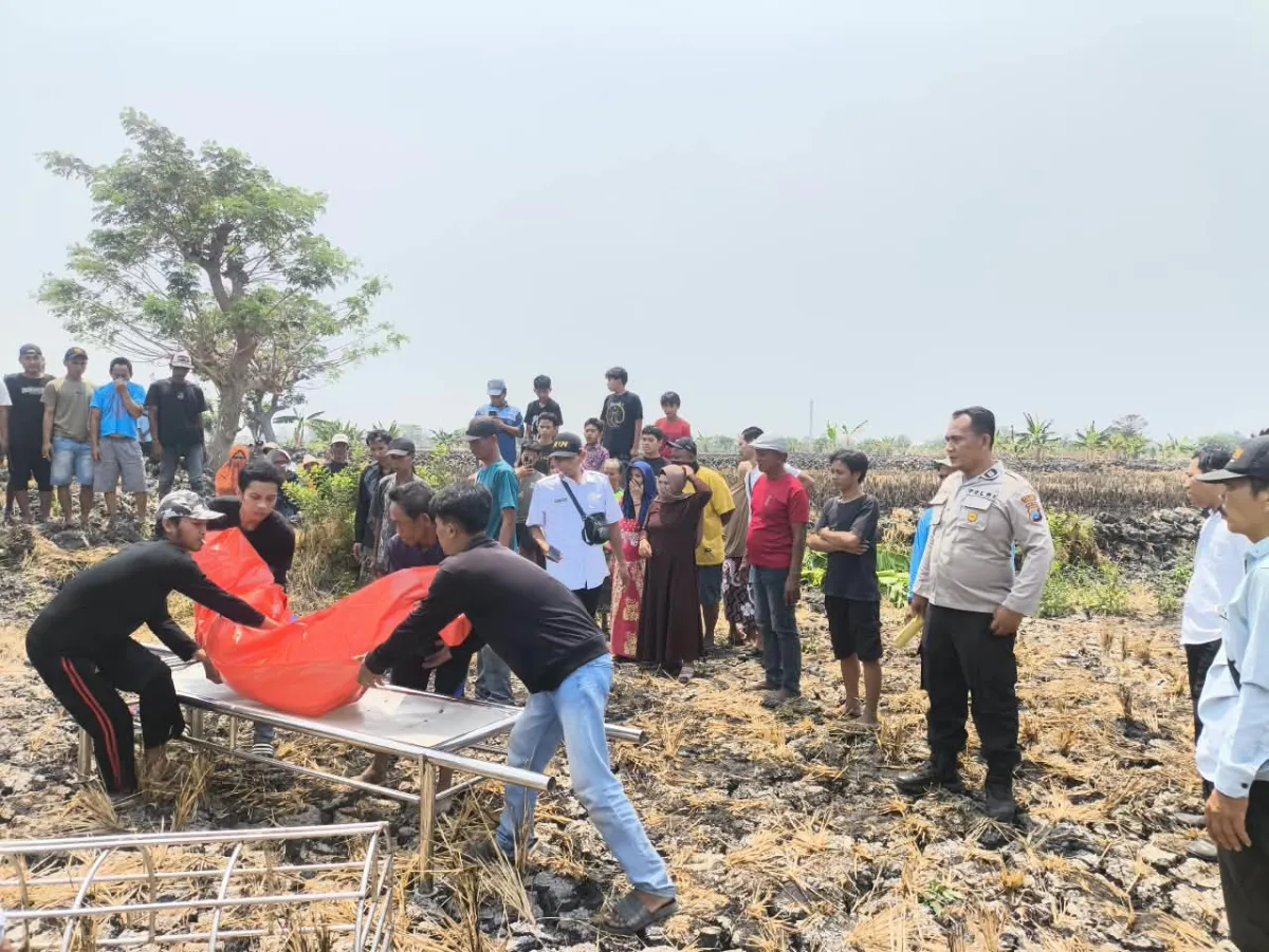 Hilang Sejak Sabtu, Nenek Karanggeneng Ditemukan Meninggal di Sawah Padenganploso Lamongan