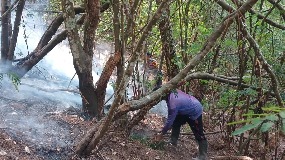 Lima Titik Api Muncul di Gunung Wilis, Tim Gabungan BPBD Kepung Karhutla Nganjuk