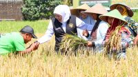 Provinsi Penghasil Padi, Gubernur Khofifah Raih Penghargaan Adhikarya Nararya Pembangunan Pertanian