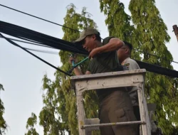 Pemkot Surabaya tertibkan fiber optik tak berizin di kawasan kota lama