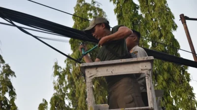 Pemkot Surabaya tertibkan fiber optik tak berizin di kawasan kota lama