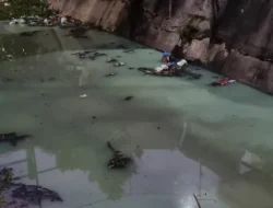 DLH Surabaya Selidiki Penyebab Sungai Keruh di Simo Gunung