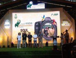 Kompetisi foto Dan video hewan international ke – 33