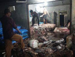 Pengepul kulit tersenyum lebar saat momen Hari Raya idul adha