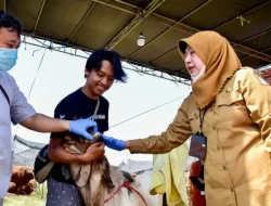 Jelang Iduladha, Pemkot Surabaya Minta Lapak Hewan Kurban Kantongi SKKH dan Rekomendasi