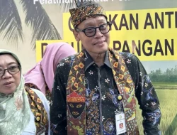 Kementan Optimistis Kekurangan Pasokan Beras Akibat Kemarau Bisa Terpenuhi