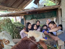 Pemkab Banyuwangi periksa kesehatan hewan kurban menjelang Idul Adha