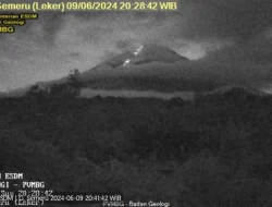 Gunung Semeru erupsi disertai guguran lava pijar