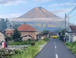 Jalan Viral Pronojiwo Spot Foto Instagramable di Lumajang yang Bikin Kamu Terpesona!