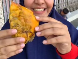 Wow Ada Molen Raksasa Segede Telapak Tangan di CFD Pasar Pahing Kediri