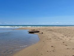 Terpikat Pesona Pantai Wonogoro Surga di Ujung Jawa Timur