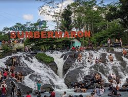 Terpikat Pesona Sungai Maron Amazon-nya Indonesia Ada di Jawa Timur