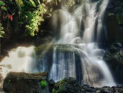 Tersembunyi di Ponorogo Pesona Coban Lawe yang Memukau