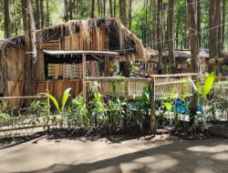 Kali Pinusan Poncosumo Lumajang Buat Kamu Betah Piknik dan Camping!