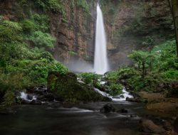 Pesona Kapas Biru Keajaiban Alam Wisata di Lumajang yang Bikin Kamu Terpana!