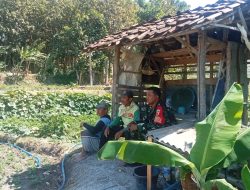 Babinsa Koramil 0810/20 Ngluyu Komsos Dengan Kelompok Tani Sekar Arum Dukung Ketahanan Pangan