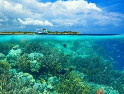Menjelajahi Keindahan Gili Trawangan Surga Liburan di Lombok