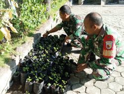 Jaga Kelestarian Alam Anggota Koramil 0810/15 Rejoso Melaksanakan Penyemaian Dan Pembibitan Tanaman