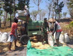 Panas Terik Babinsa Tetap Semangat Membantu Warga Menggiling Jagung