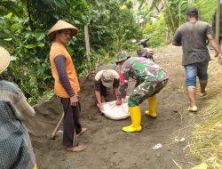 Ciptakan Kemanggulangan TNI Bersama Rakyat Babinsa Ngetos Ajak Warganya Gotong Royong