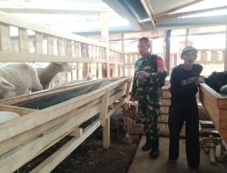 Babinsa TNI AD Berikan Motivasi Untuk Warga Peternak Kambing di wilayah Binaan