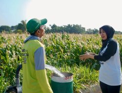 Bunda Ita Calon Bupati Nganjuk Mendukung Inovasi Listrik Masuk Sawah untuk Produktivitas Petani