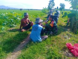 Berikan Motivasi Dengan Suasana Yang Akrab Babinsa Komsos Bersama Poktan