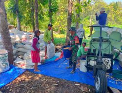 Hadir Dan Selalu Ada Disituasi Apapun Babinsa Koramil 13 Lengkong Bantu Warga Selep Jagung