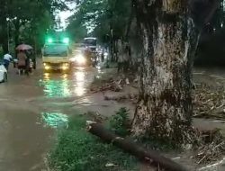 Banjir Merendam Jalan Utama Nganjuk-Kediri di Desa Joho Pace, Antrian Mengular Hingga Beberapa Kilometer