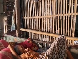 Kisah Pilu Nenek Katinah Sukomoro Bertahan Hidup di Gubuk Hampir Roboh