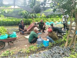 Komsos Dengan Petani Bibit Sukun Babinsa Koramil 0810/09 Ngronggot Himbau Tingkatkan Produksi Serta Kualitas Bibit