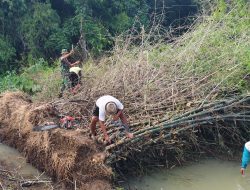Cegah Banjir Babinsa Koramil 0810/10 Tanjunanom Bantu Warga Evakuasi Rumpun Bambu