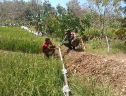 Pastikan Kebutuhan Air Terpenuhi Babinsa Desa Kweden Melaksanakan Pendampingan Kepada Petani