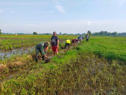 Babinsa Turun Langsung Dalam Upaya Mencegahan Banjir Dan Meningkatkan Ketahana Pangan