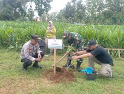 Lestarikan Alam Koramil 0810/18 Ngetos, Forpicam Dan Warga Melaksanakan Penanaman Pohon.